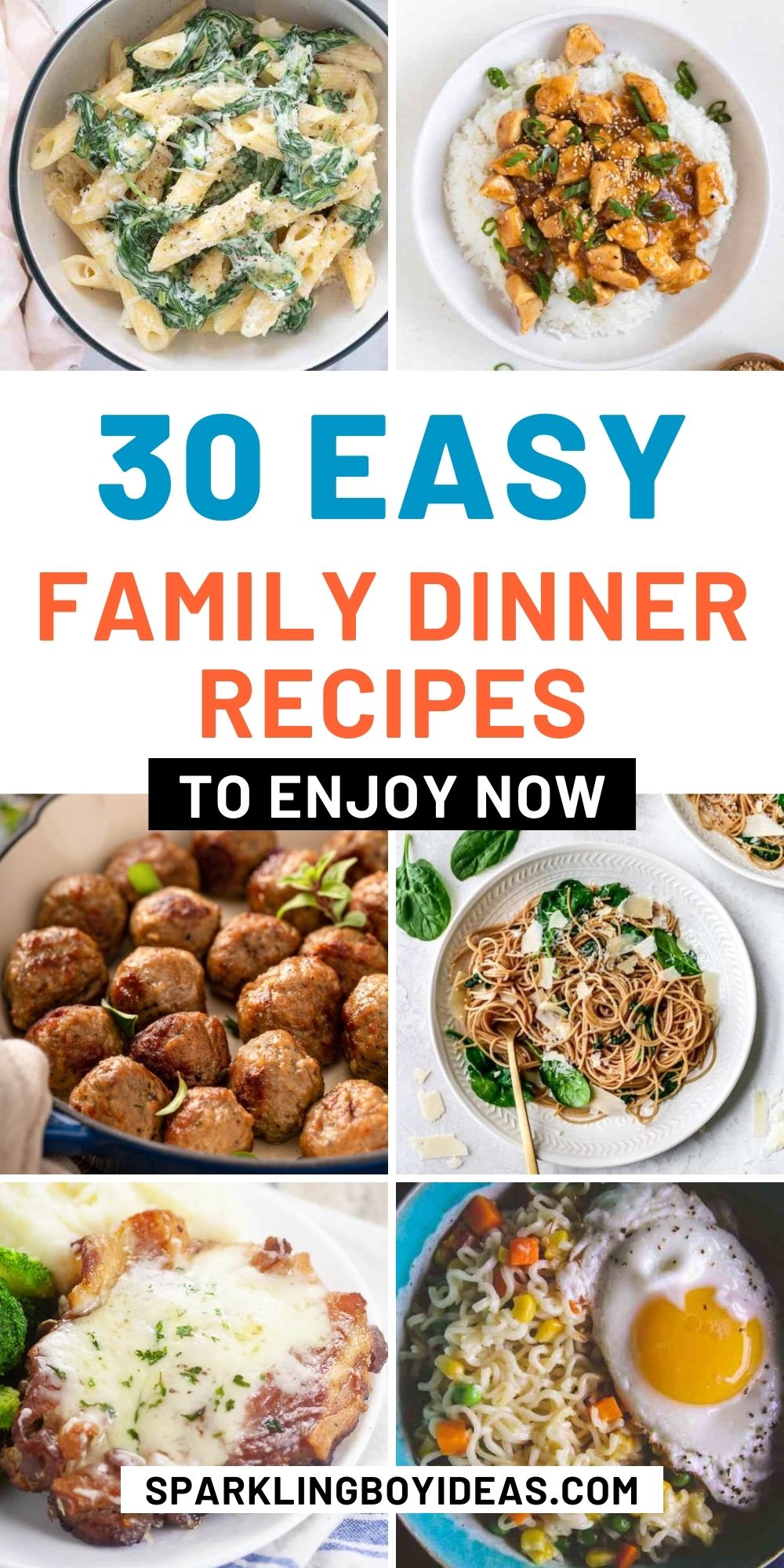 31 Easy Family Dinner Recipes - Sparkling Boy Ideas