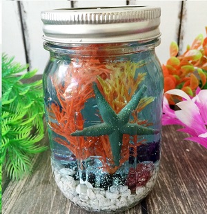 Mini Mason Jar Aquariums PM2