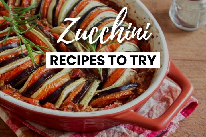 Zucchini Recipes