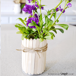 popsicle stick can flower pot cute diy craft tutorial