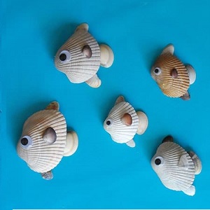 sea shell fish1