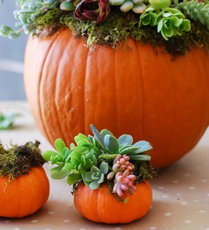 Discover inspiring fall table decor ideas, including pumpkin table decor, thanksgiving table centerpieces, and elegant fall tablescapes for your next gathering.