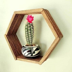 DIY Hexagon Shelf Popsicle Sticks 3