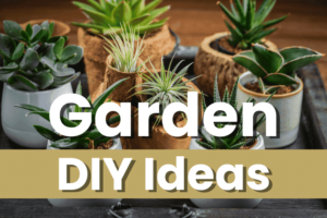 cheap diy garden ideas