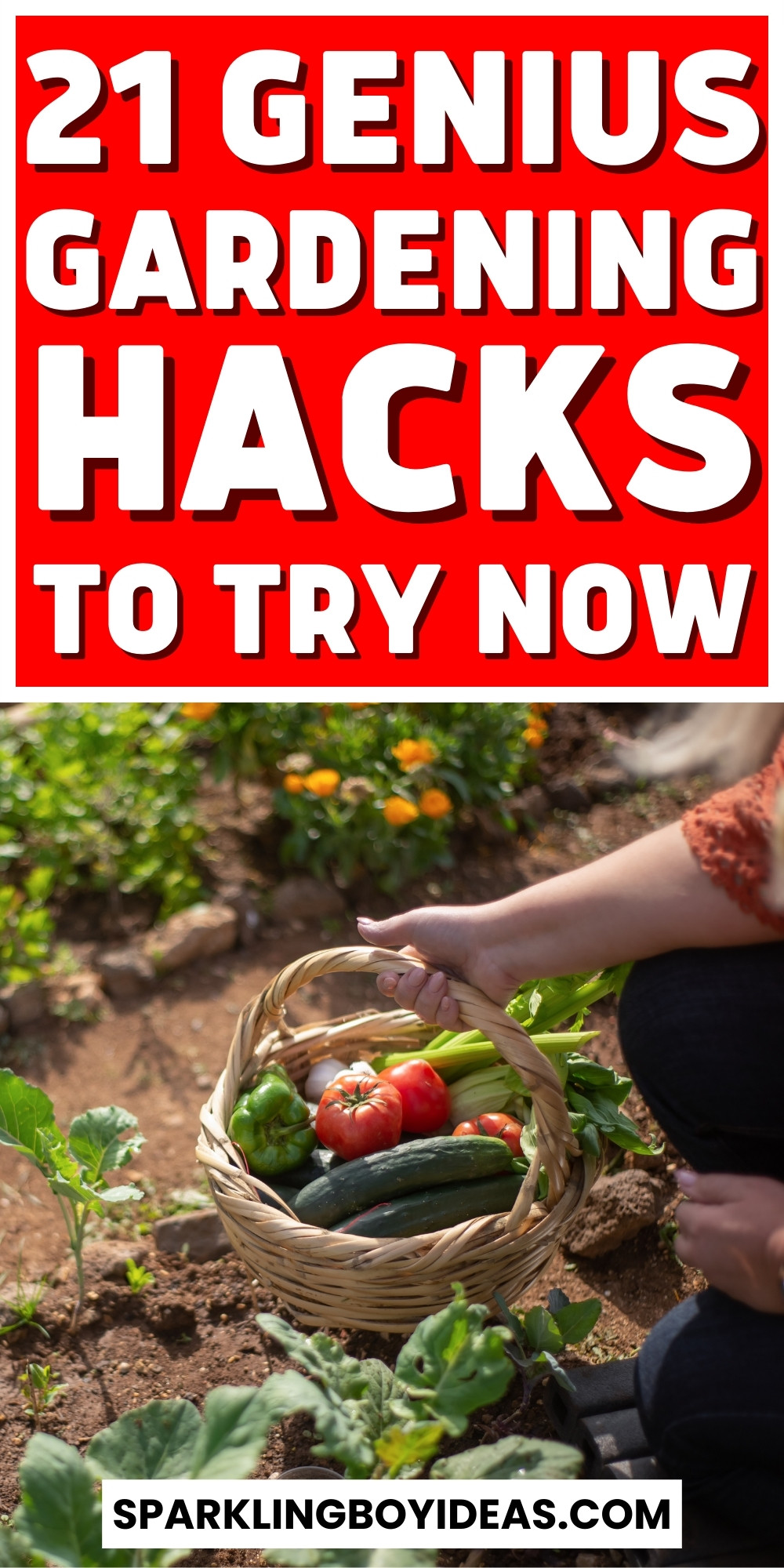 21 Super Genius Gardening Hacks - Sparkling Boy Ideas