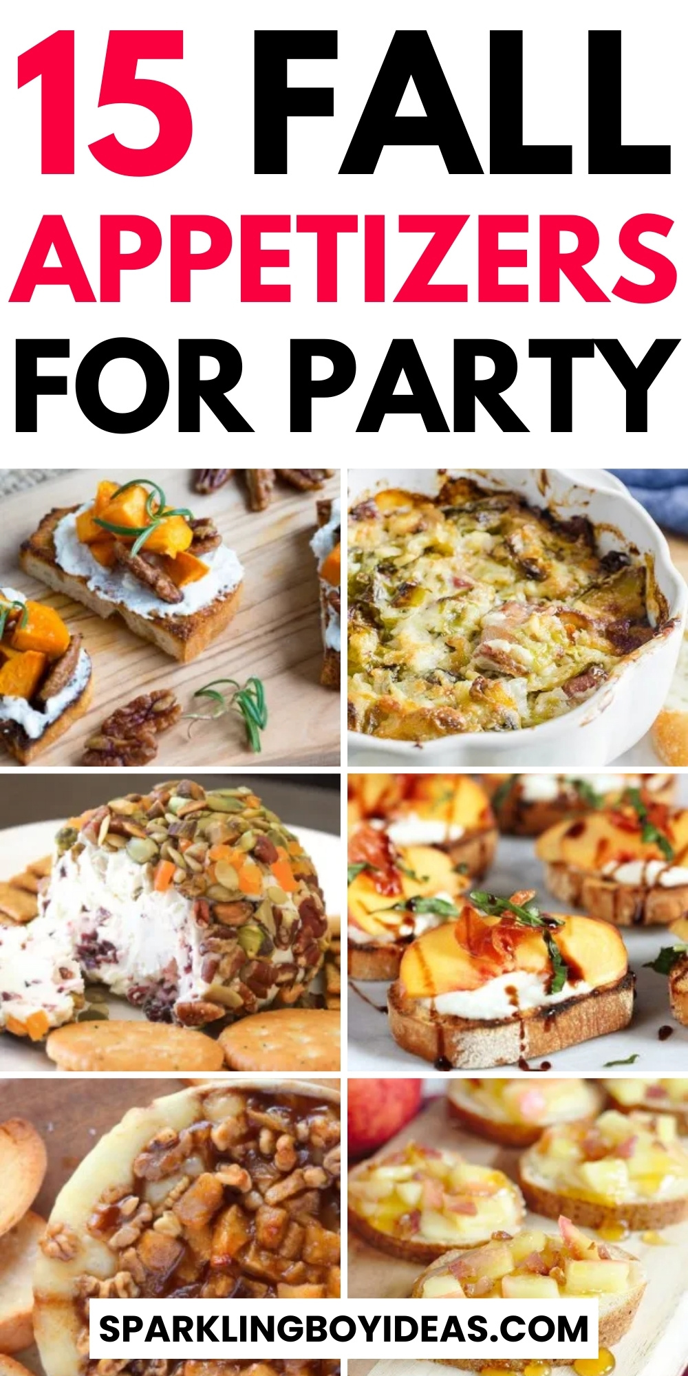 19 Easy Fall Appetizers - Sparkling Boy Ideas