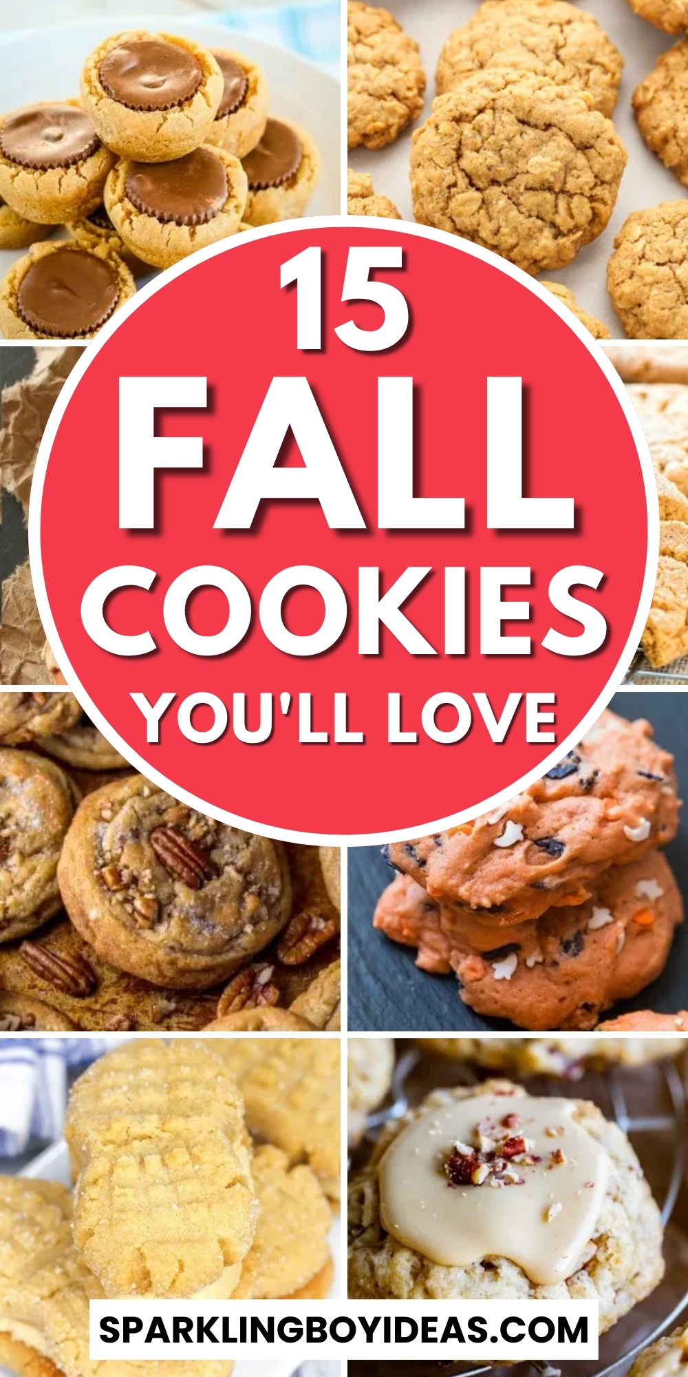 15 Easy Fall Cookies - Sparkling Boy Ideas