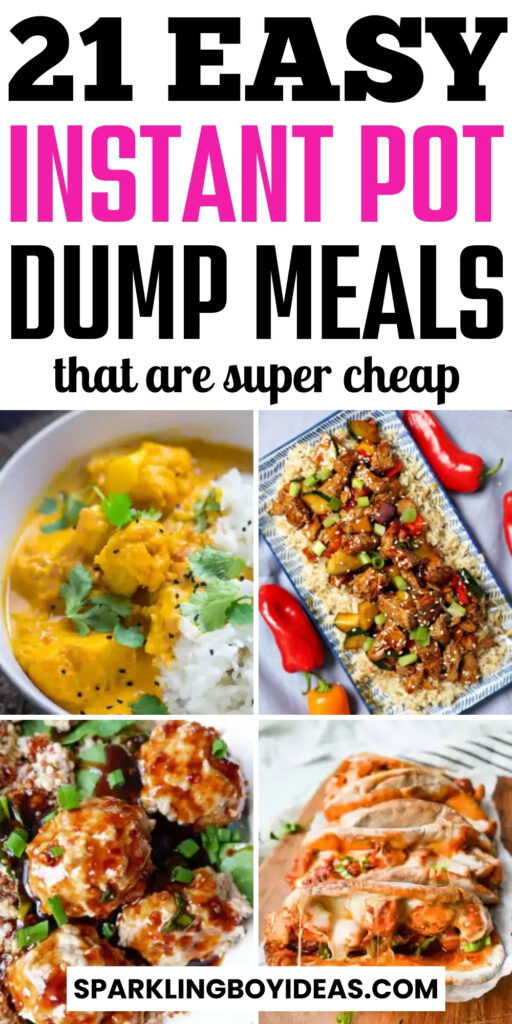 best quick kid friendly cheap easy instant pot dump meals for family
