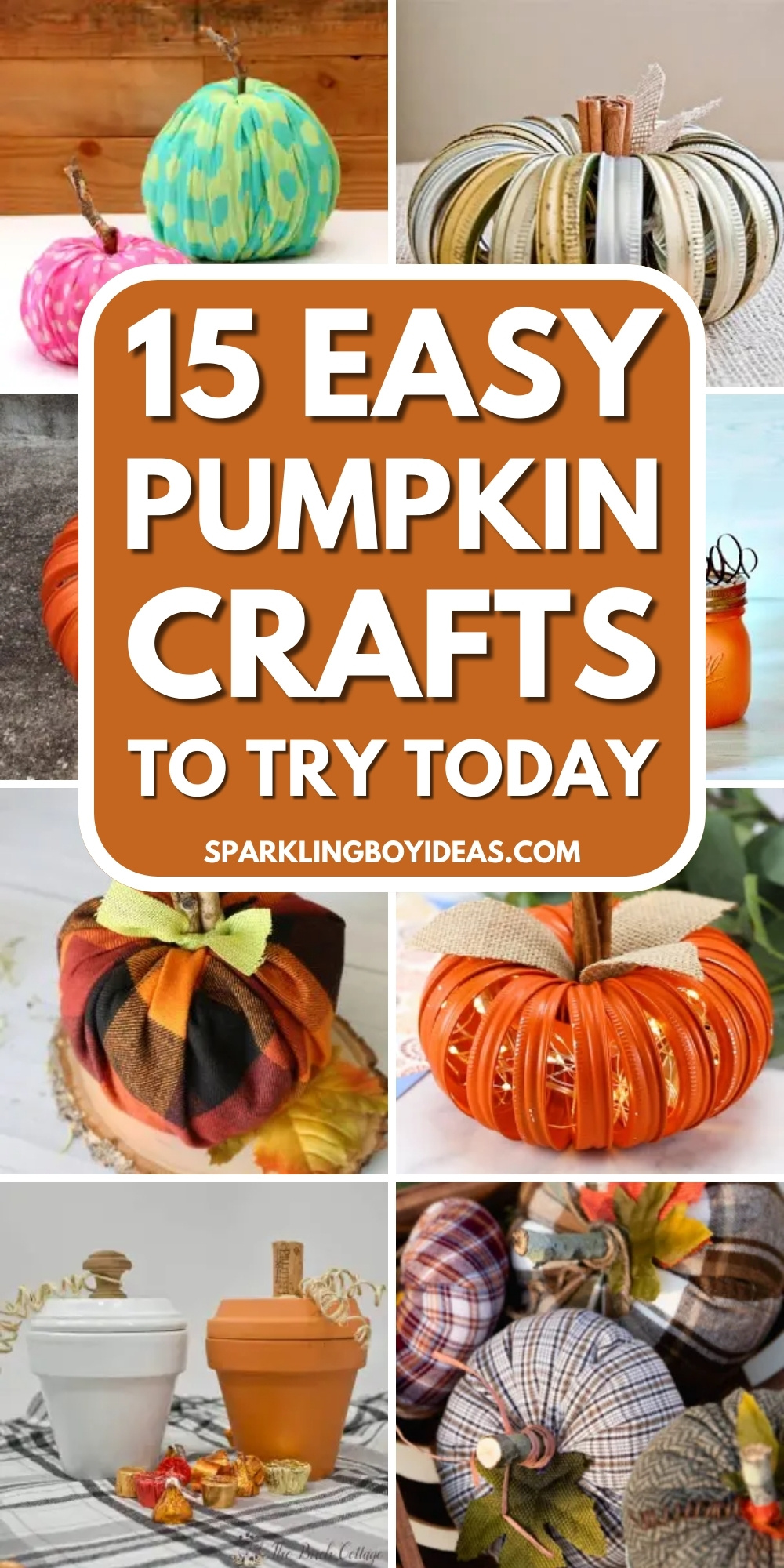 15 Best Pumpkin Crafts - Sparkling Boy Ideas