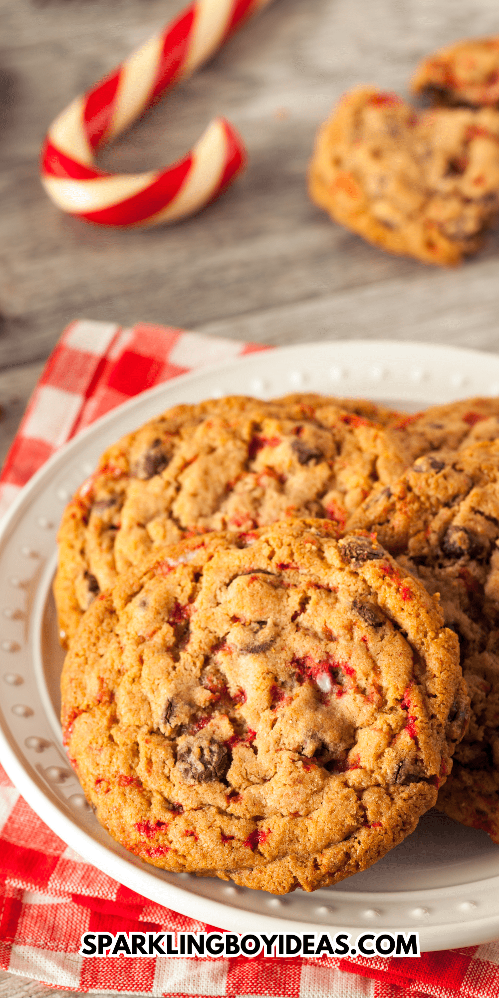 Homemade Chocolate Peppermint Cookies - Sparkling Boy Ideas