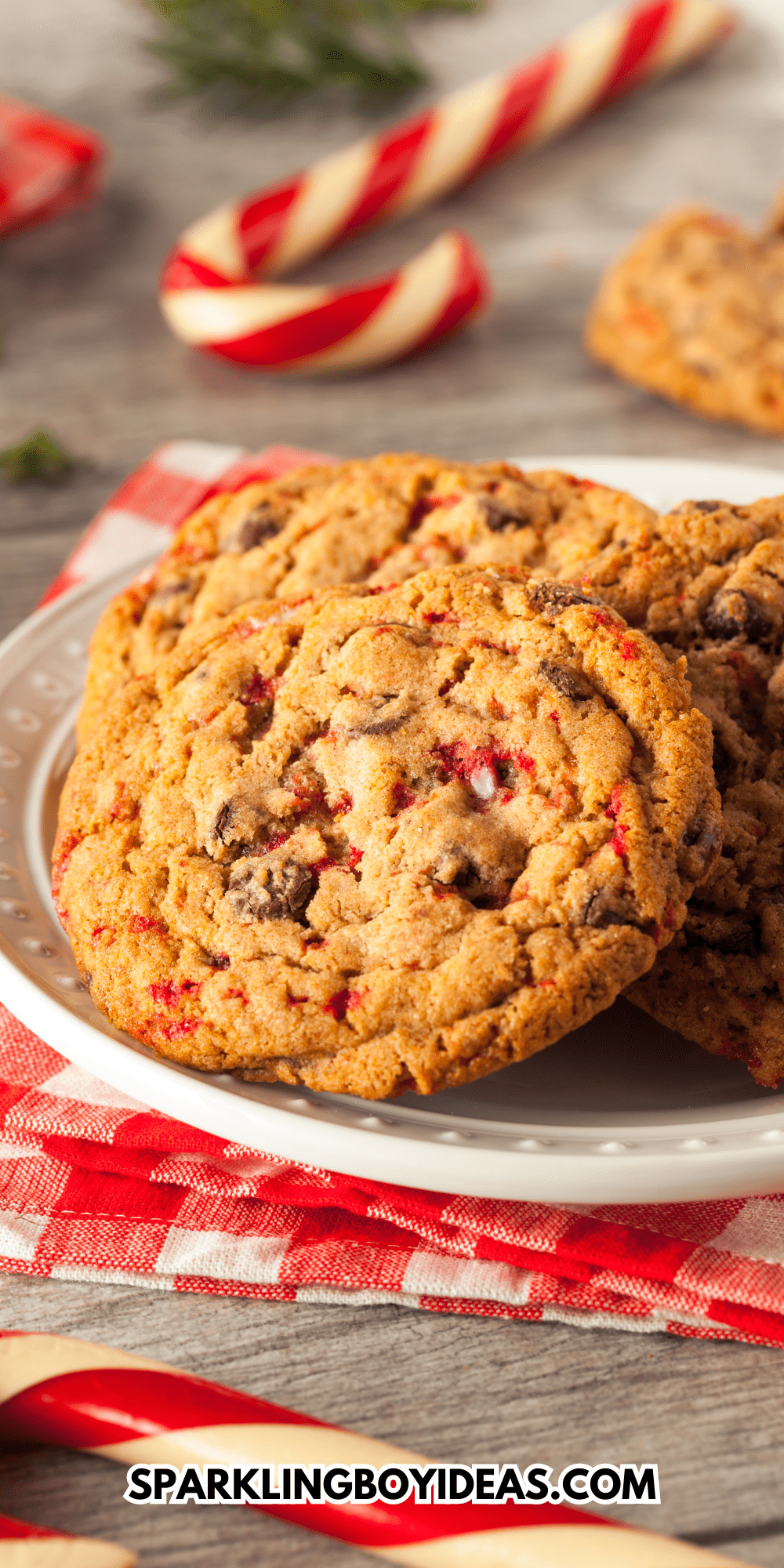 Homemade Chocolate Peppermint Cookies - Sparkling Boy Ideas