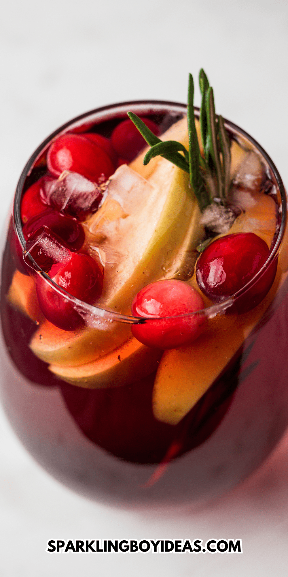 Holiday Cranberry Apple Sangria Sparkling Boy Ideas 2045