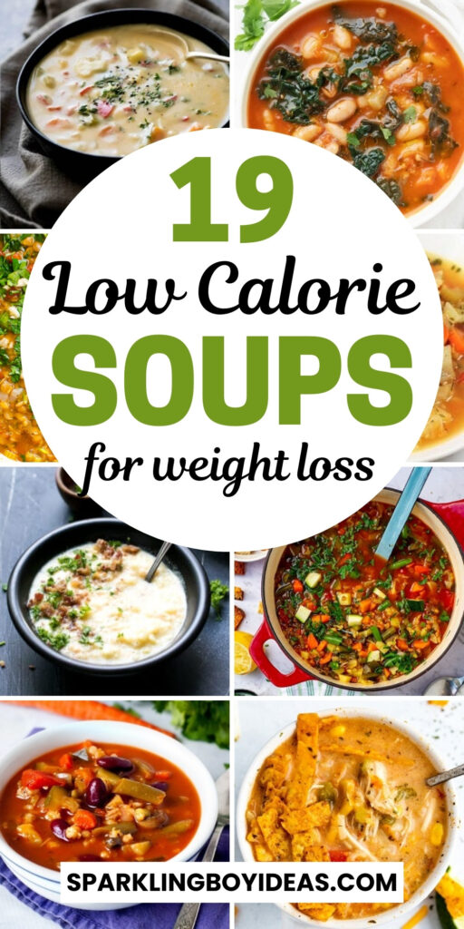 low calorie soup recipes under 100 calories 