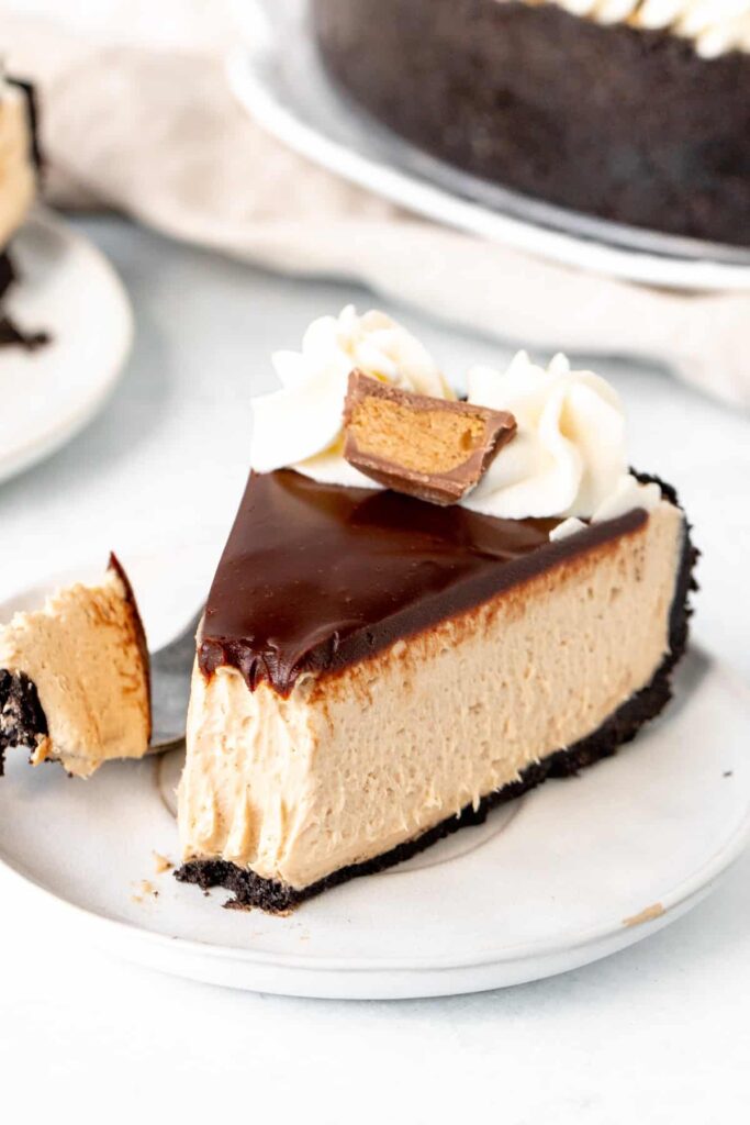 best no bake cheesecake with a creamy filling and buttery crust. Perfect for summer desserts, holidays, and easy no bake treats.